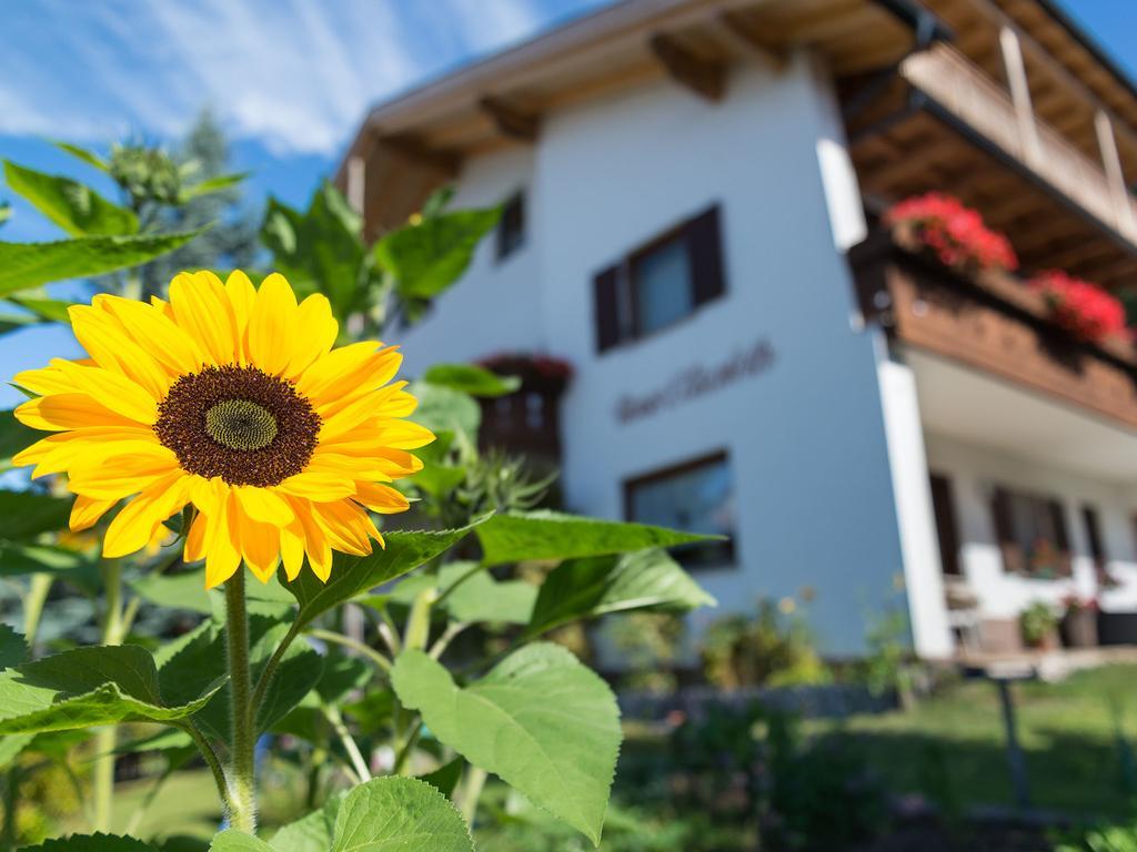 Haus Elisabeth Hotel Nova Ponente Eksteriør billede